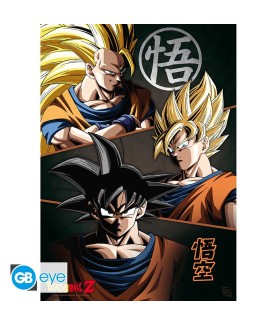Poster - À plat - Dragon Ball - Groupe