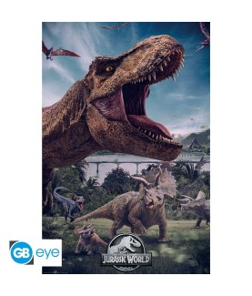 Poster - Rolled and...