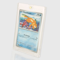 Protège-cartes - Magnetic card case (bags of 5 units)