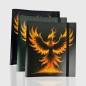 Protège-cartes - Album flex for toploader 9 pockets / 12 pages phoenix 3 ass Protège-cartes - Album flex for toploader 9 pockets / 12 pages phoenix 3 ass