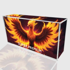 Protège-cartes - Acrylic case for pkm super premium with lid