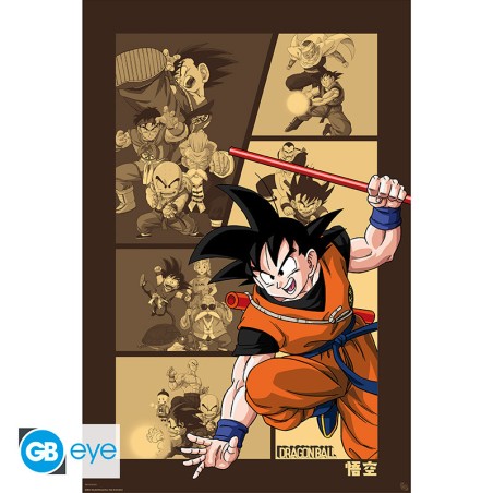 Poster - Roulé et filmé - Dragon Ball - Son Goku