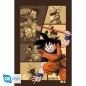 Poster - Roulé et filmé - Dragon Ball - Son Goku