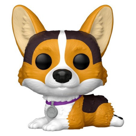 POP - POP Television - Cute pets - 16 - Corgi