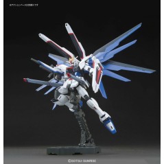 Model - High Grade - Gundam - Freedom