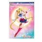 Metallplatte - Beschädigte Verpackung - Sailor Moon - Sailor Moon