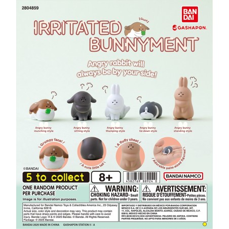 Gashapon - Irritated Bunnyment - Angry Rabbit will Always be by Your Side