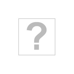 Poster - Packung mit 2 - Dragon Ball - Gruppe