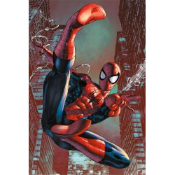 Poster - Spider-Man - Web...