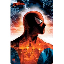 Poster - Spider-Man -...
