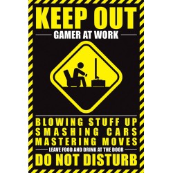 Poster - Geek - Do Not Disturb