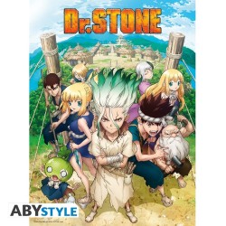 Poster - Flat - Dr. Stone -...