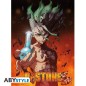 Poster - À plat - Poster - Dr. Stone - Senku