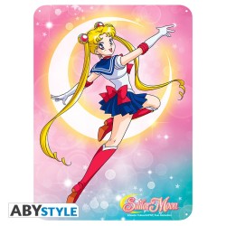 Metal plate - Sailor Moon - Sailor Moon