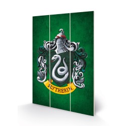 Leinwand - Harry Potter - Haus Slytherin