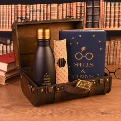 Set - Harry Potter - Trouble Finds Me