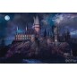 Poster - Harry Potter - Poudlard