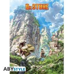 Poster - À plat - Dr. Stone...