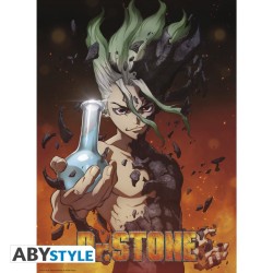 Poster - Set of 2 - Dr. Stone