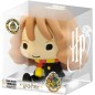Money box - Harry Potter - Hermione Granger