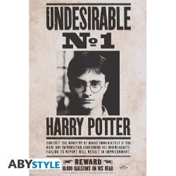 Poster - Rolled and shrink-wrapped - Harry Potter - Undesirable N°1