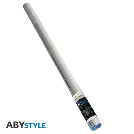 Poster - Roulé et filmé - Harry Potter - Poudlard