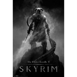 Poster - Roulé et filmé - Skyrim - Dovahkiin