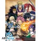 Poster - À plat - Fairy Tail - Groupe