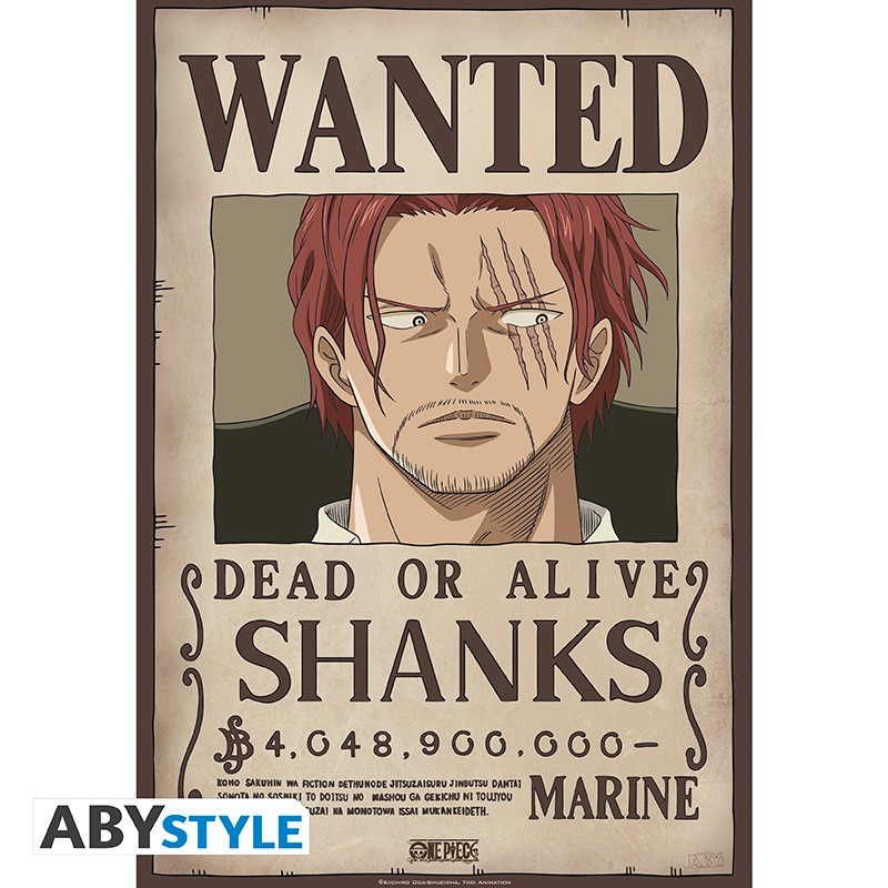 Poster One Piece Wanted : Affiche Murale One Piece Recherché