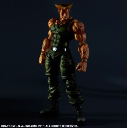 Action Figure - Street Fighter