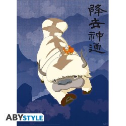Poster - Set of 2 - Avatar: The Last Airbender - Appa & Map