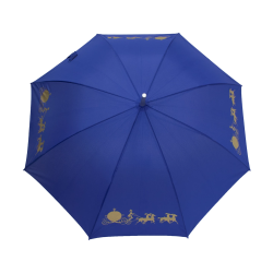 Parapluie - Cendrillon