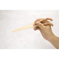 Kitchen accessories - Chopsticks - Alien - Chest Burster