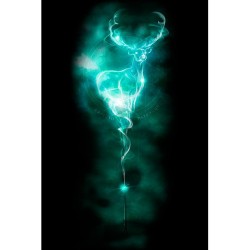 Poster - Roulé et filmé - Harry Potter - Patronus