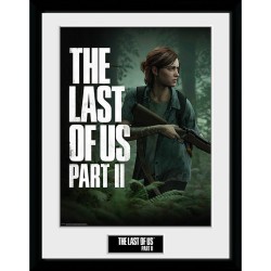 Frame - The Last of US