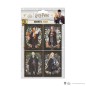 Magnet - Set of 4 - Harry Potter - Character portraits