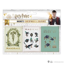 Magnet - Harry Potter - Set à drei Stück