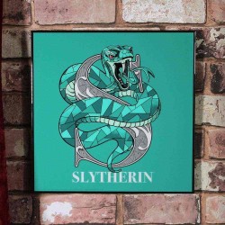 Canvas - Crystal Clear Picture - Harry Potter - Slytherin