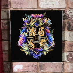 Canvas - Harry Potter - Hogwarts Fine Oddities