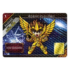 Trading Cards - Booster - Saint Seiya - Saint Paradise (Reborn)