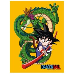 Frame - Dragon Ball - Shenron