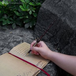 Schreiben - Stift - Harry Potter - Albus Dumbledore wand with stand
