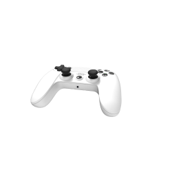 Kabelloser Controller - PS4 - Playstation