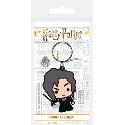 Porte-clefs - Harry Potter