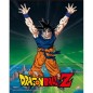 Frame - 3D - Dragon Ball - Genkidama ! - Son Goku Frame - 3D - Dragon Ball - Genkidama ! - Son Goku
