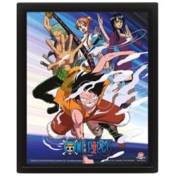 Frame - 3D - One Piece - Pirates Assault