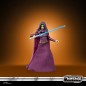 Action Figure - The Vintage Collection - Star Wars - Barriss Offee