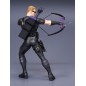 Static Figure - Avengers - Hawkeye