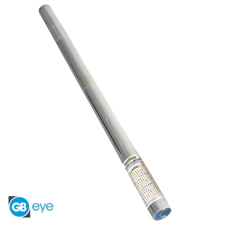 Poster - Roulé et filmé - Pokemon