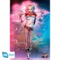 Poster - Roulé et filmé - Suicide Squad - Harley Quinn Poster - Roulé et filmé - Suicide Squad - Harley Quinn